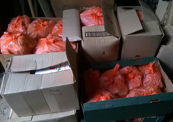 WP_20180811_17_02_24_Pro